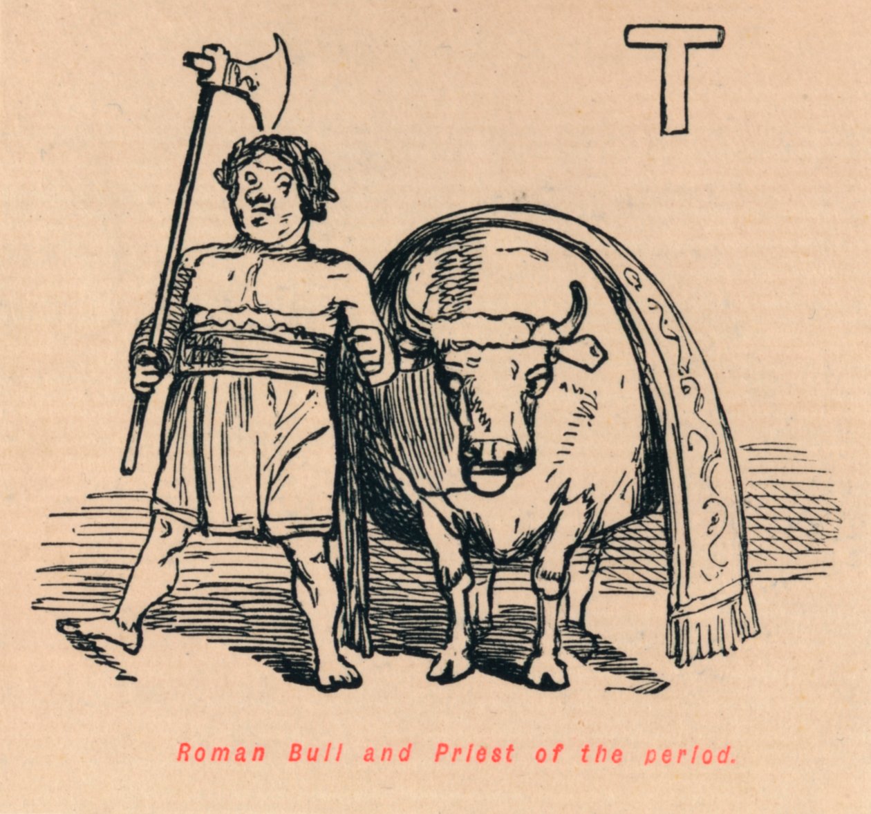 Dönemin Roman Boğası ve Rahibi, 1852 by John Leech