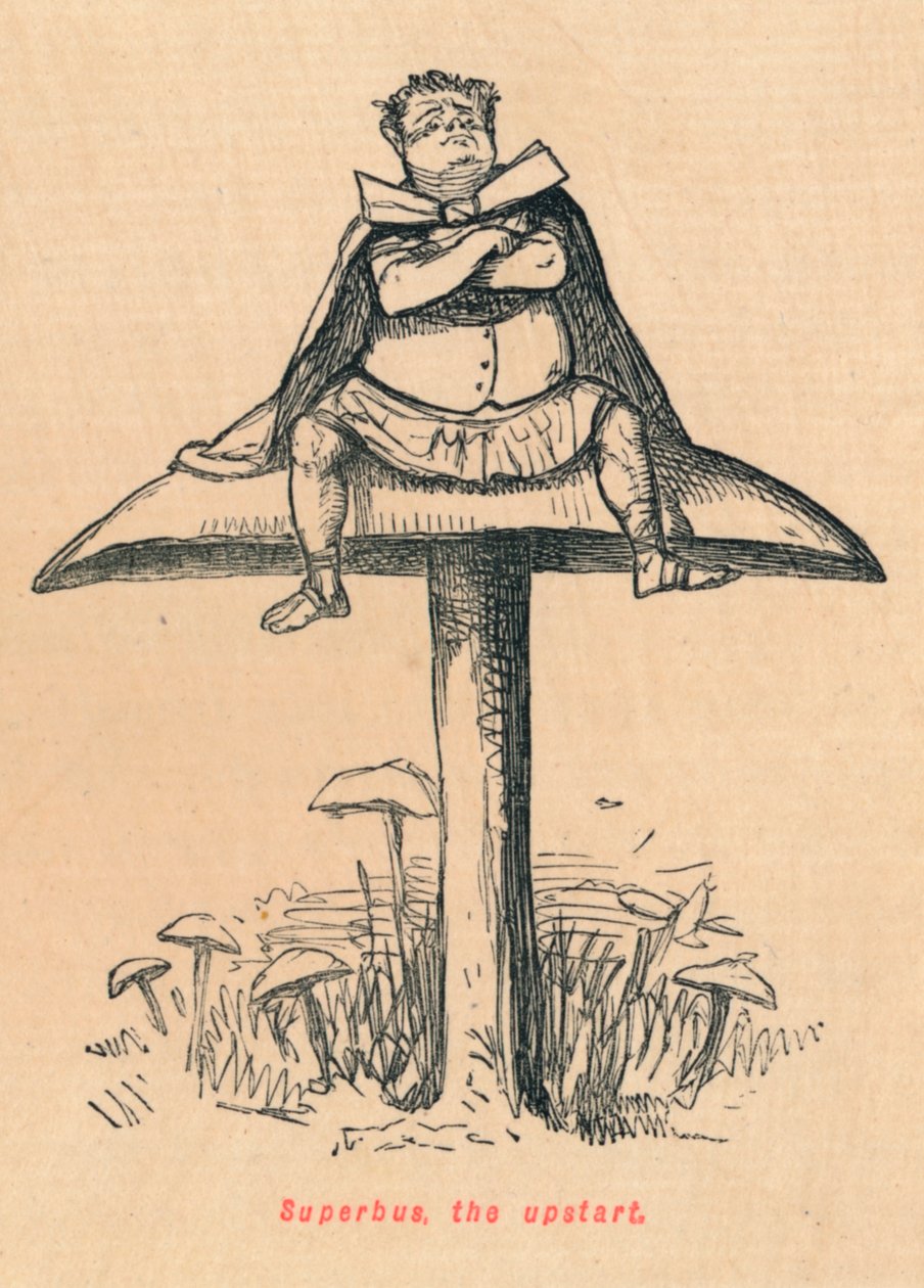 Superbus, yeni başlayanlar, 1852 by John Leech