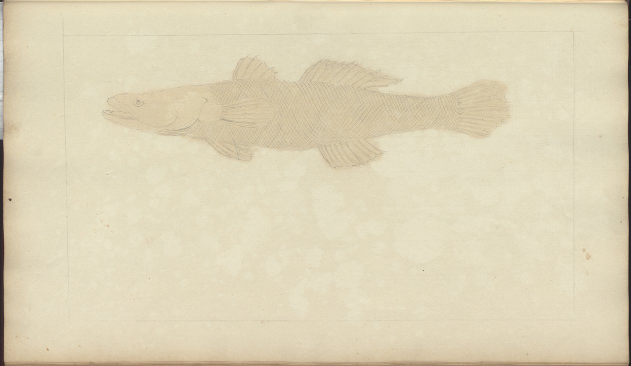 Lindsay Çizimleri Vol. VII, 22 by John Lindsay