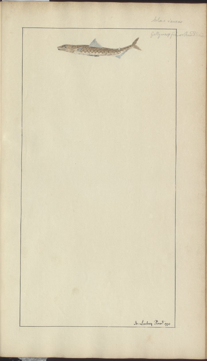 Lindsay Çizimleri Vol. VII, 23 by John Lindsay