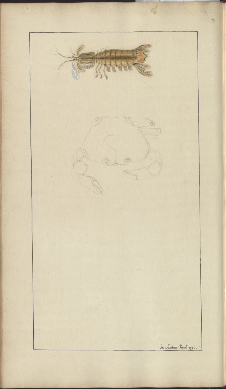 Lindsay Çizimleri Vol. VII, 24 by John Lindsay