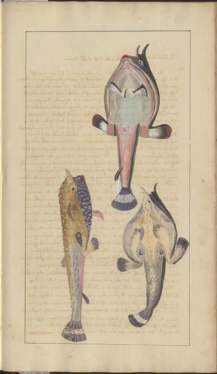 Lindsay Çizimleri Vol. VII, 27 by John Lindsay