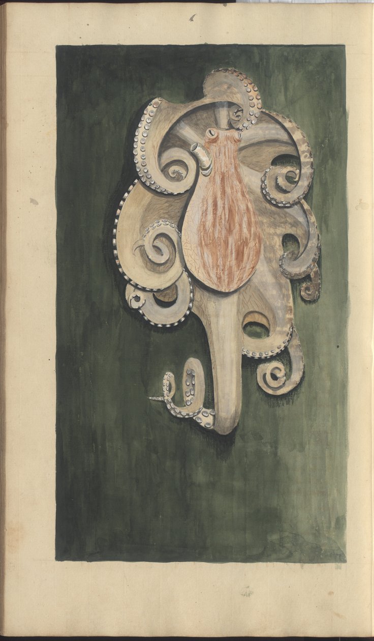 Lindsay Çizimleri Vol. VII, 28 by John Lindsay