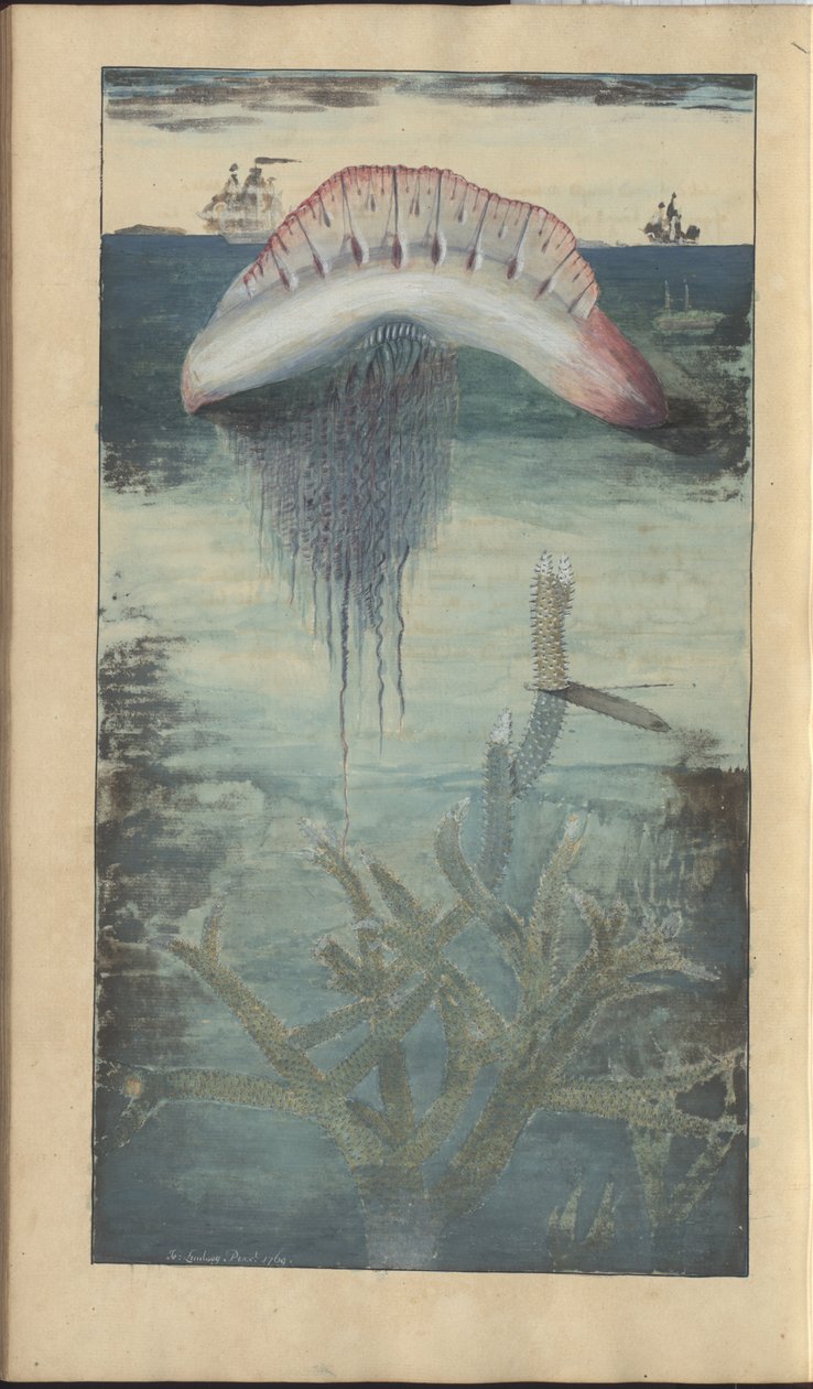 Lindsay Çizimleri Vol. VII, 30 by John Lindsay