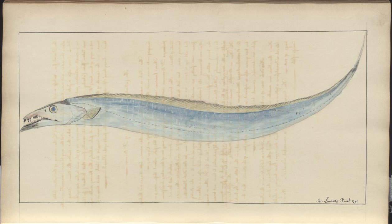 Lindsay Çizimleri Vol. VII, 9 by John Lindsay