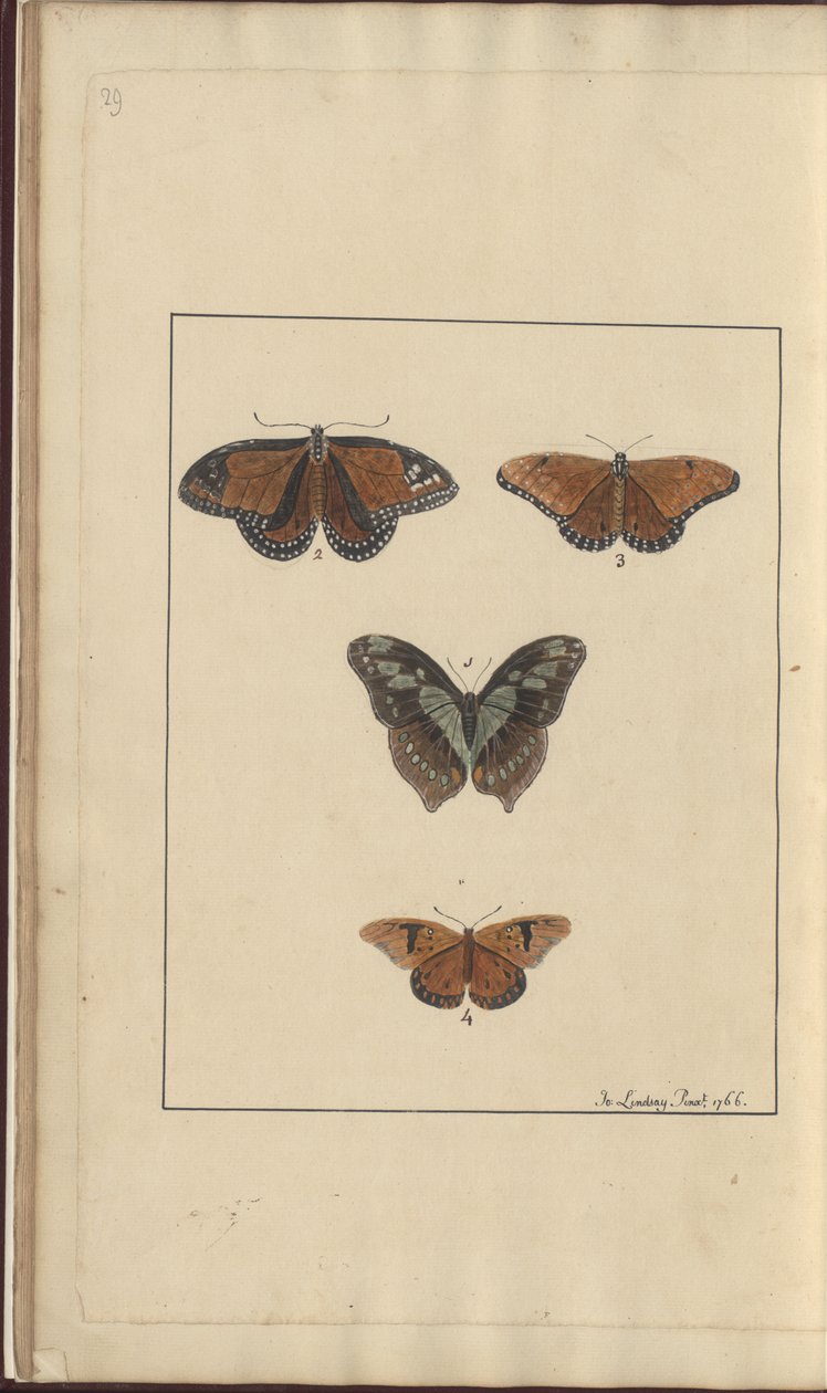 Lindsay Çizimleri Vol. VI, 29 by John Lindsay