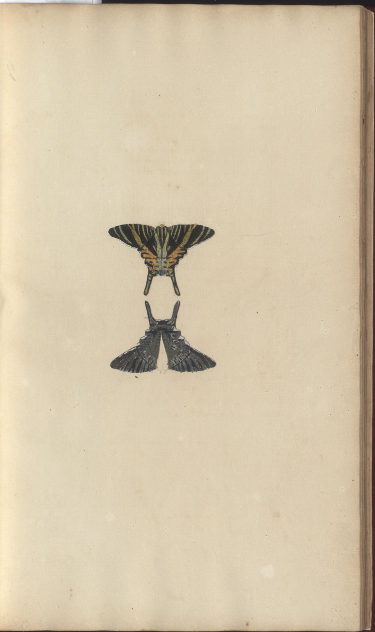 Lindsay Çizimleri Vol. VI, 48 by John Lindsay