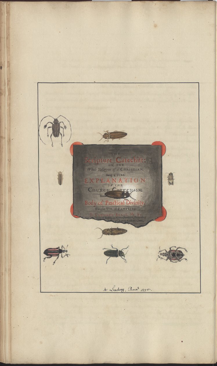 Lindsay Çizimleri Vol. VI, 95 by John Lindsay