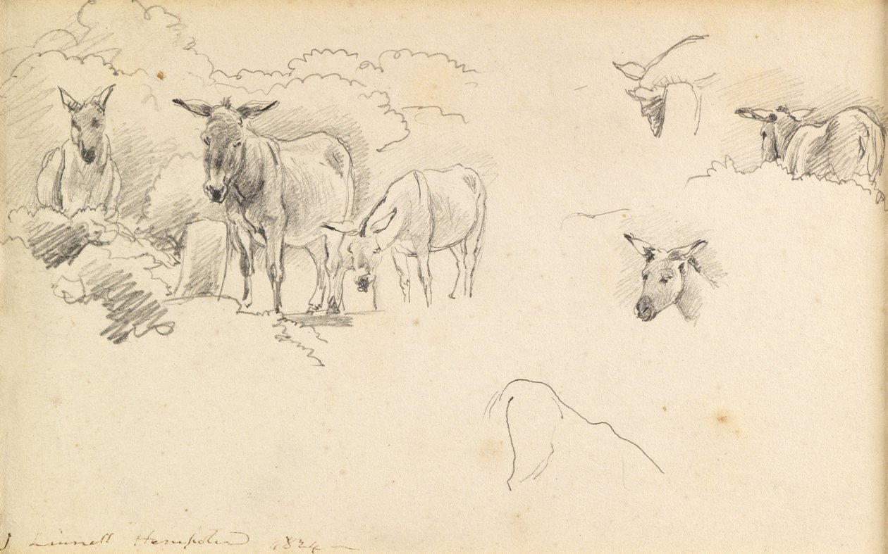 Eşekler, 1824 by John Linnell