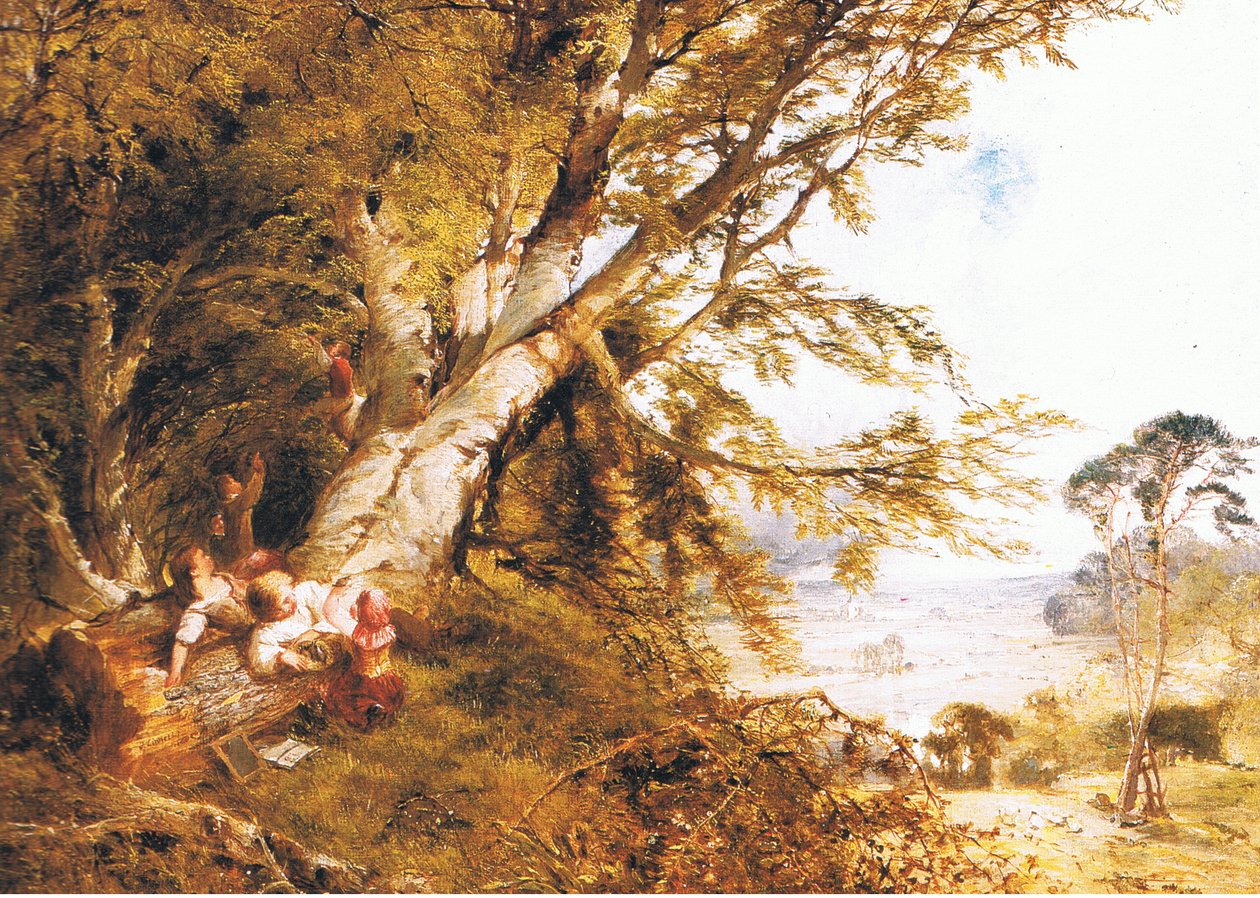 Kuş yuvaları, bilinmeyen bir dergi veya kitap kaynağından by John Linnell