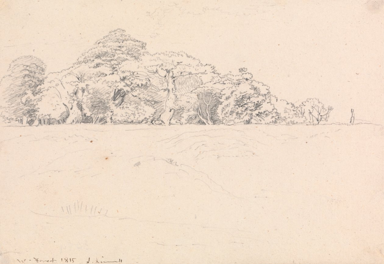 Windsor Ormanı by John Linnell