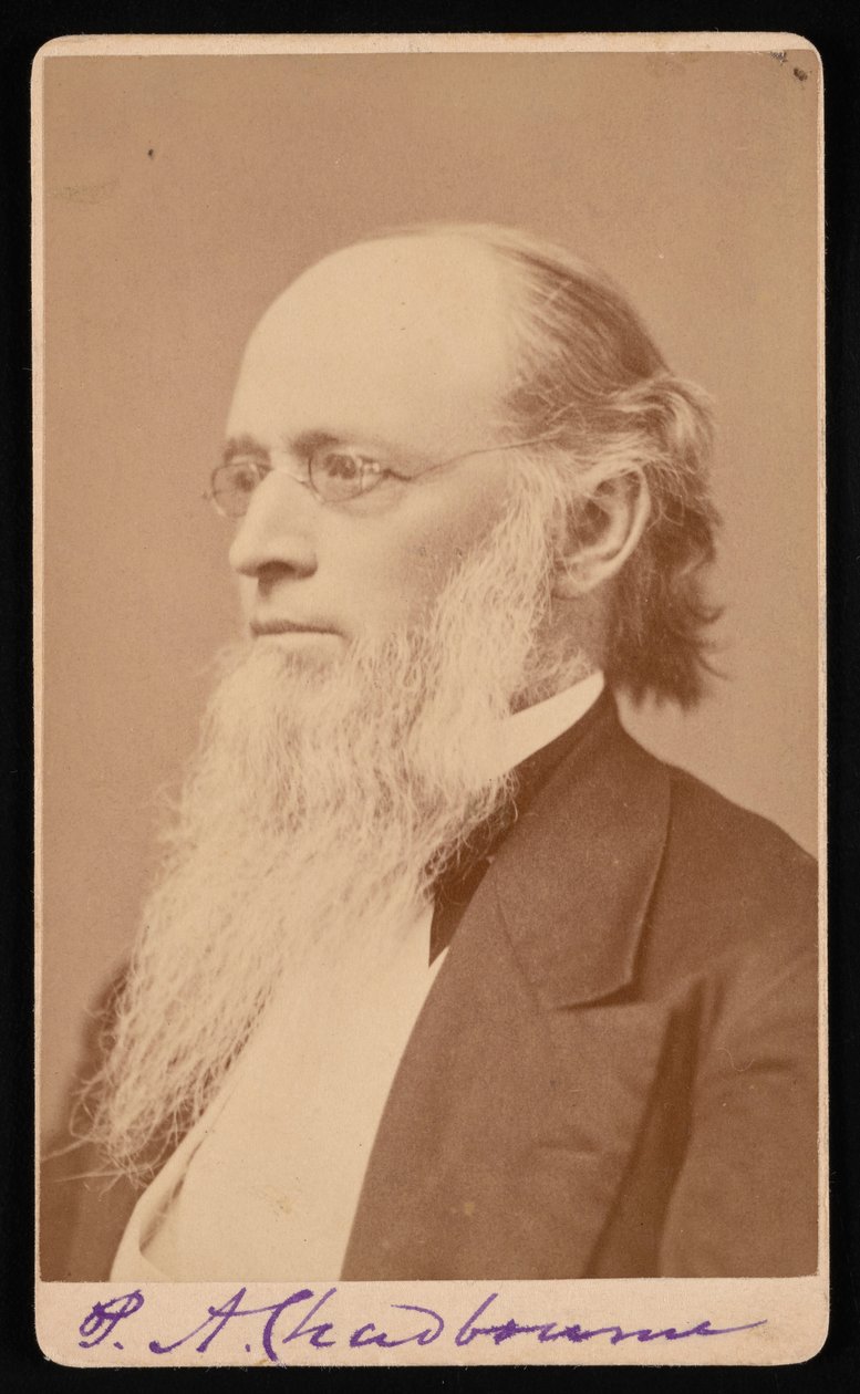 Paul Ansel Chadbourne