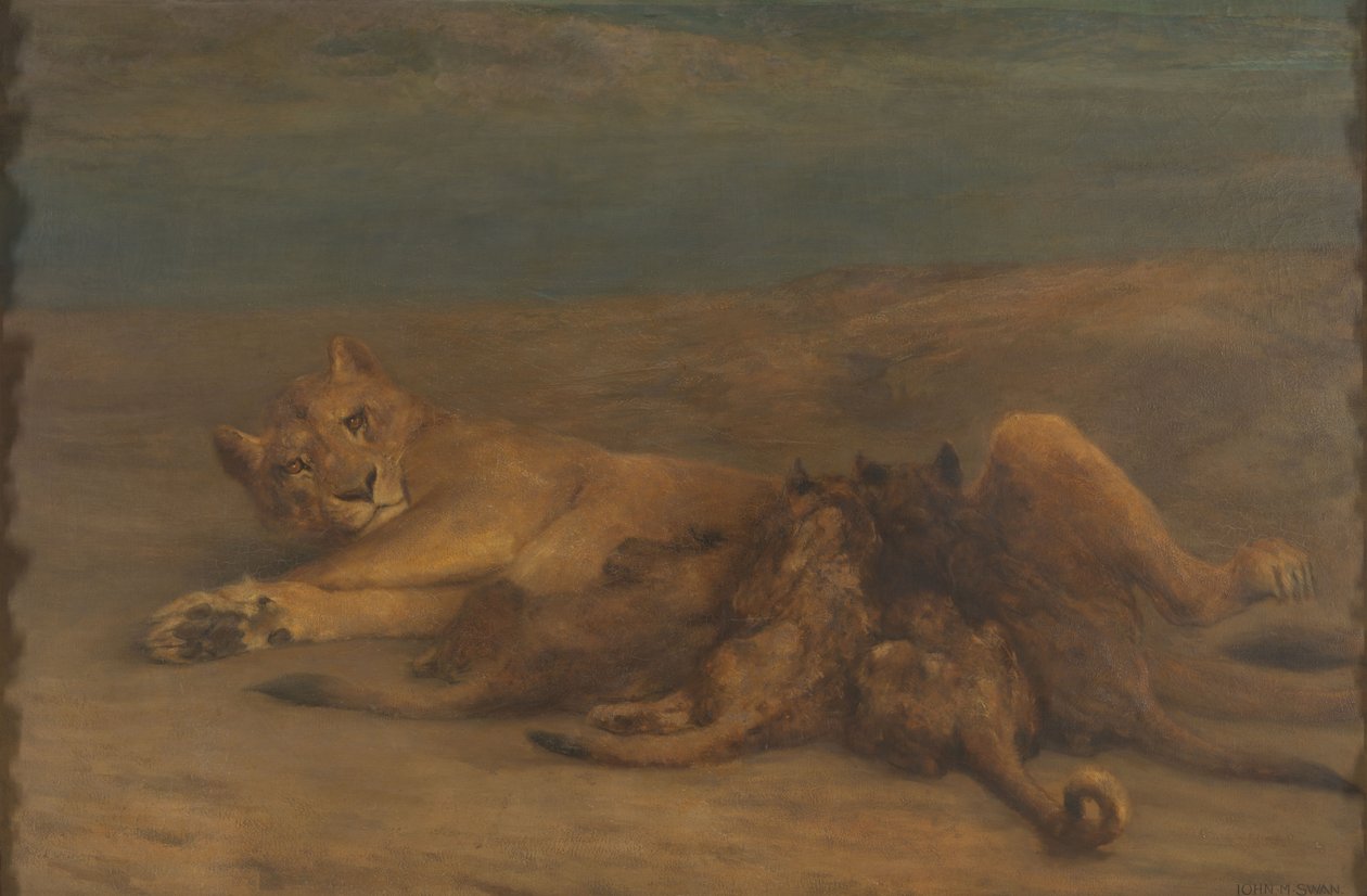  by John Macallan Swan