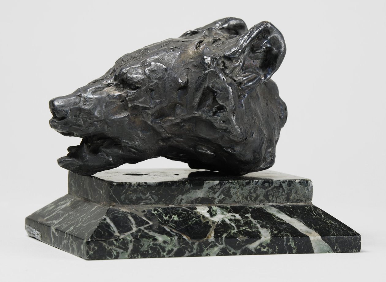 Ayı Kafası, c.1900 (bronz) by John Macallan Swan