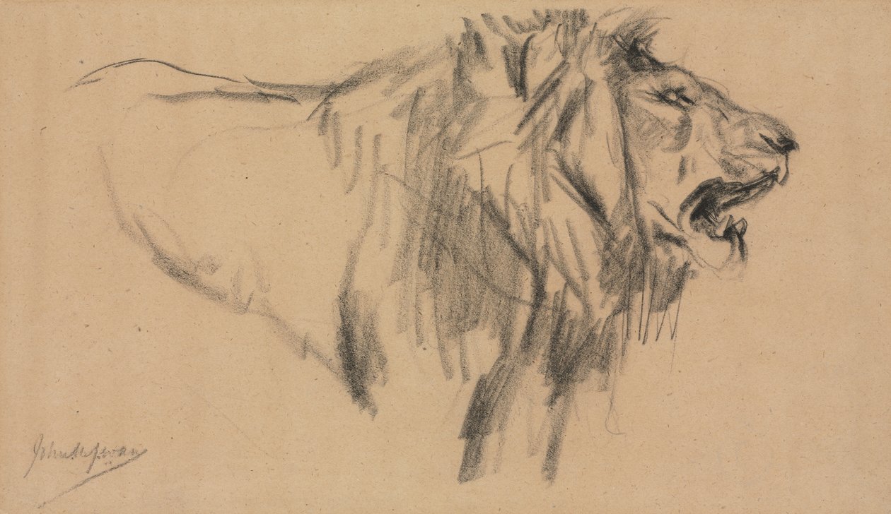 Aslan by John Macallan Swan