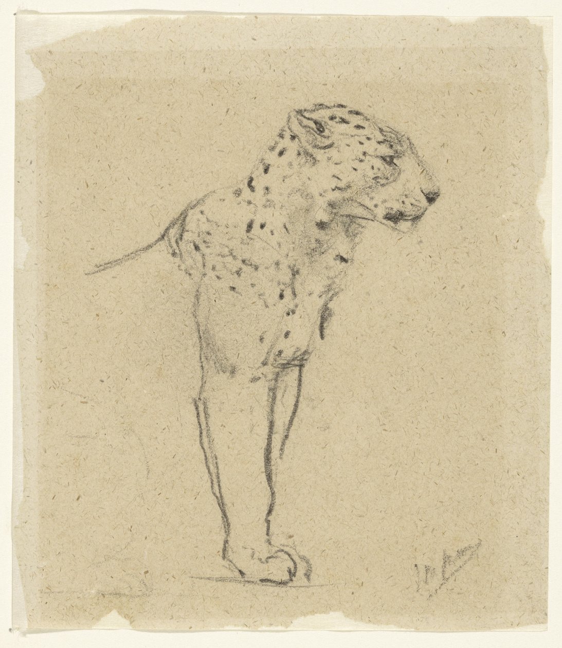 Ayakta duran bir leoparın incelenmesi by John Macallan Swan