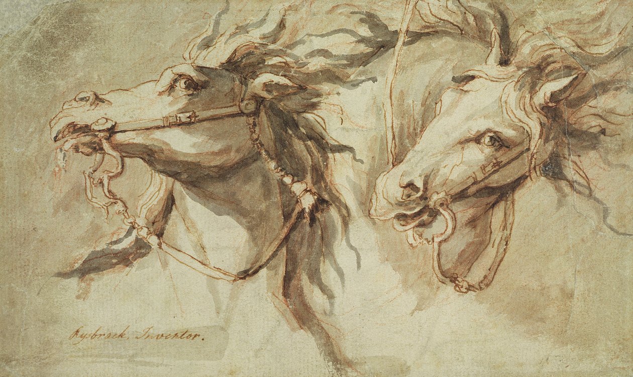 İki At Kafası (kalem, mürekkep ve devetüyü kağıt üzerine kırmızı tebeşirle yıkama) by John Michael Rysbrack