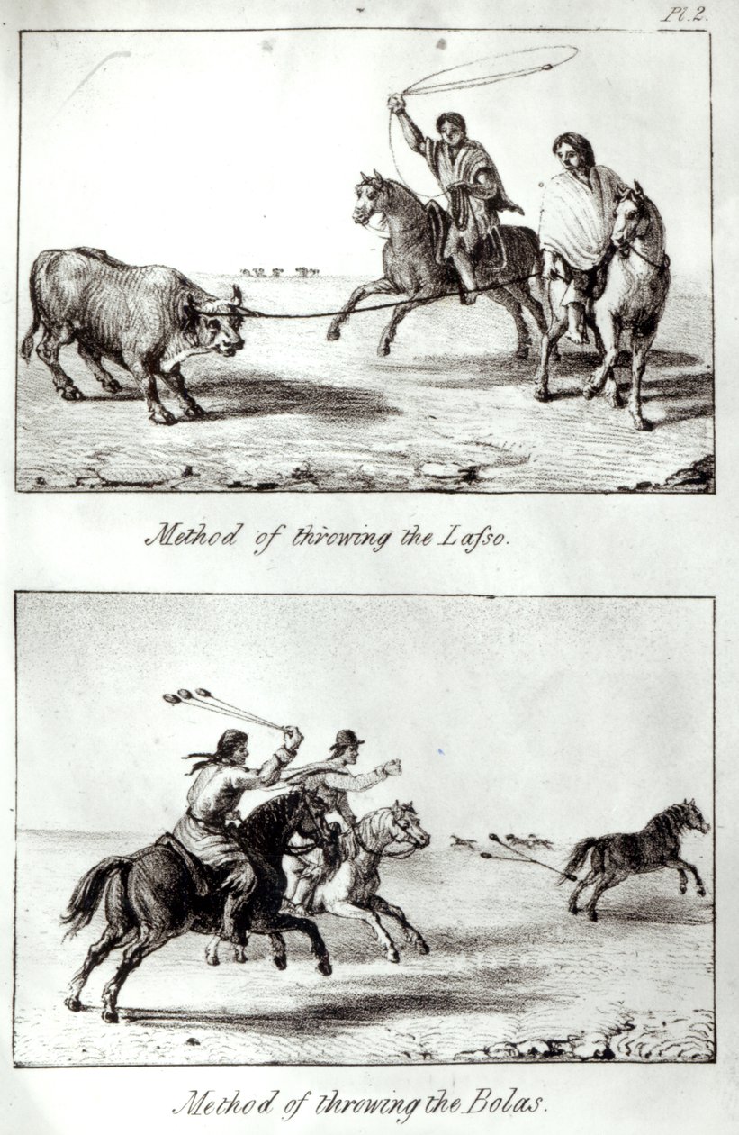 John Miers, 1826 (litho) (bw photo) by John Miers