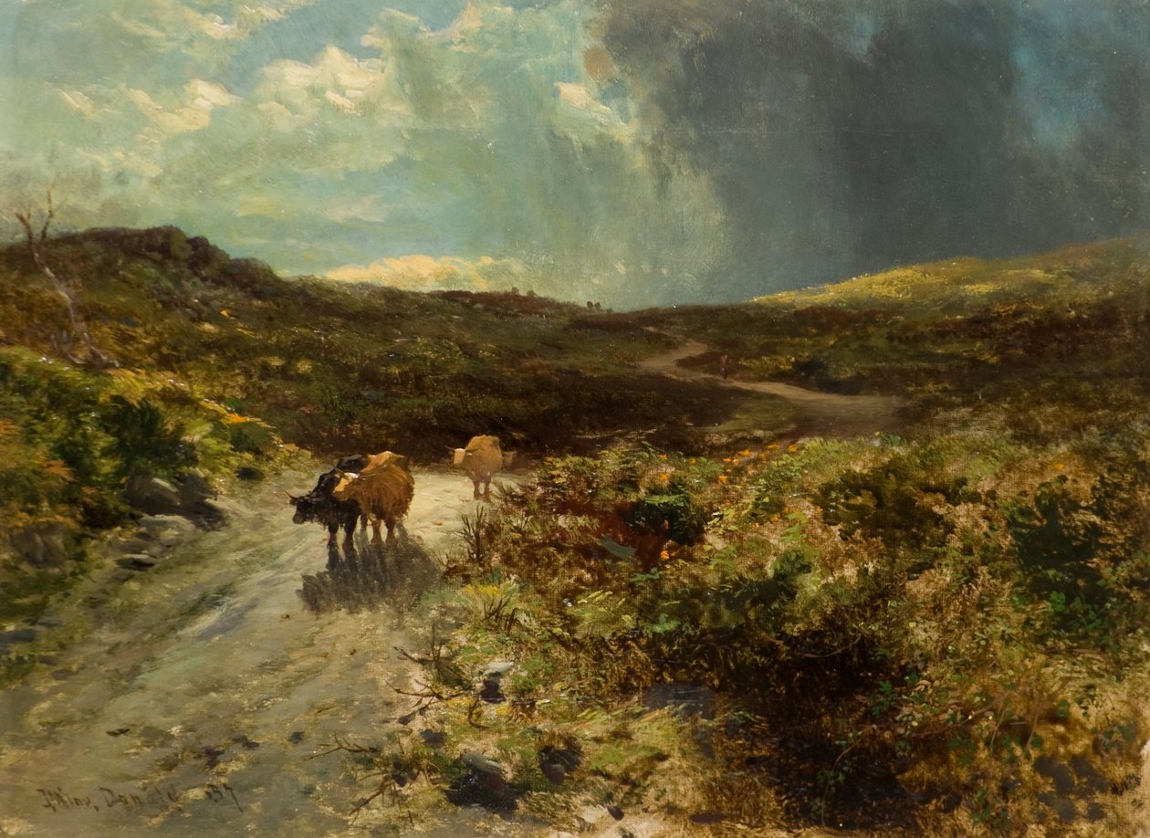 Sürme Yolu by John Milne Donald