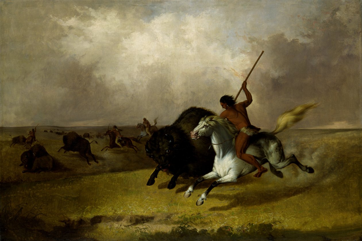 Güneybatı Çayırlarında Buffalo Avı, 1845. by John Mix Stanley