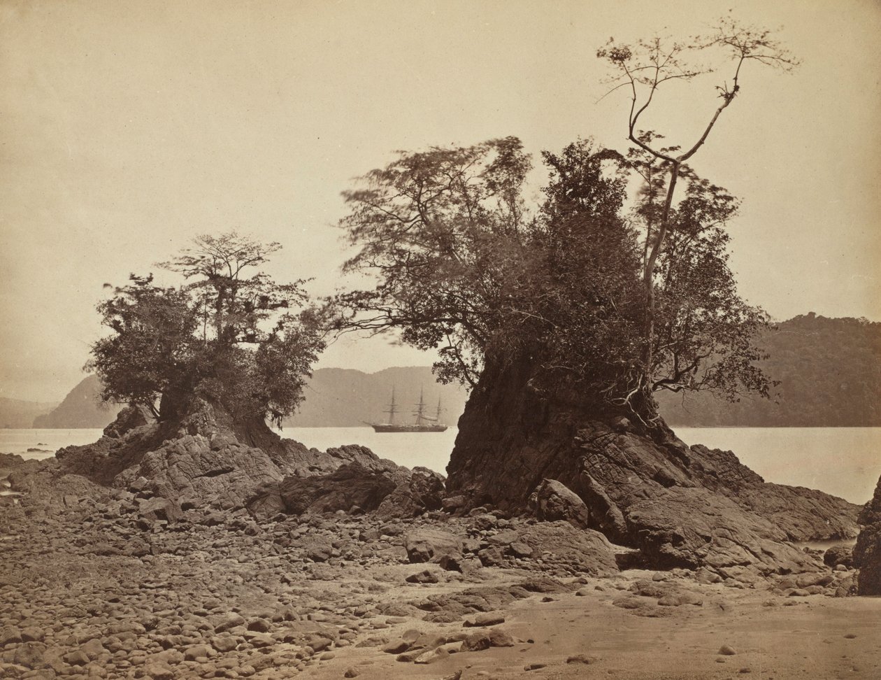 Lemon Bay