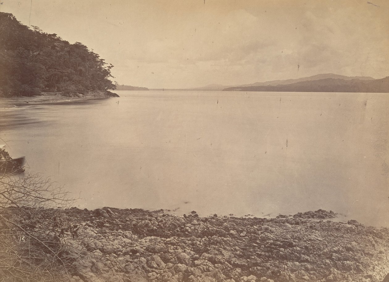 Tropikal Manzara, Darien Limanı - Güneye Bakış, 1871. by John Moran