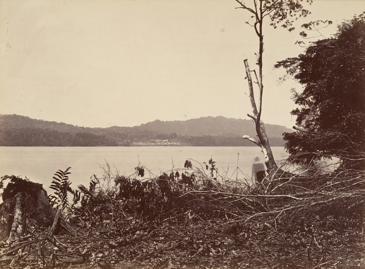 Tropikal Manzara, Darien Limanı, Chipigana, 1871. by John Moran
