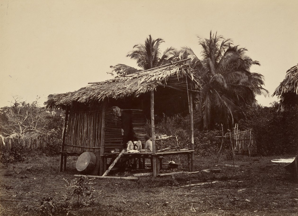 Tropikal Manzara, Yerli Kulübe, Turbo, 1871. by John Moran