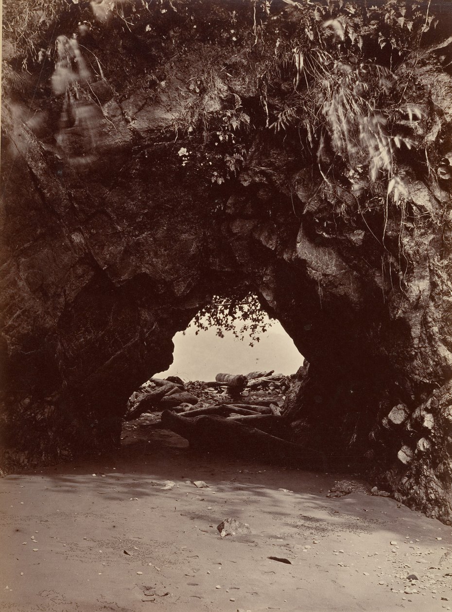 Tropikal Manzara, Doğal Kemer, Cupica Bay, 1871. by John Moran
