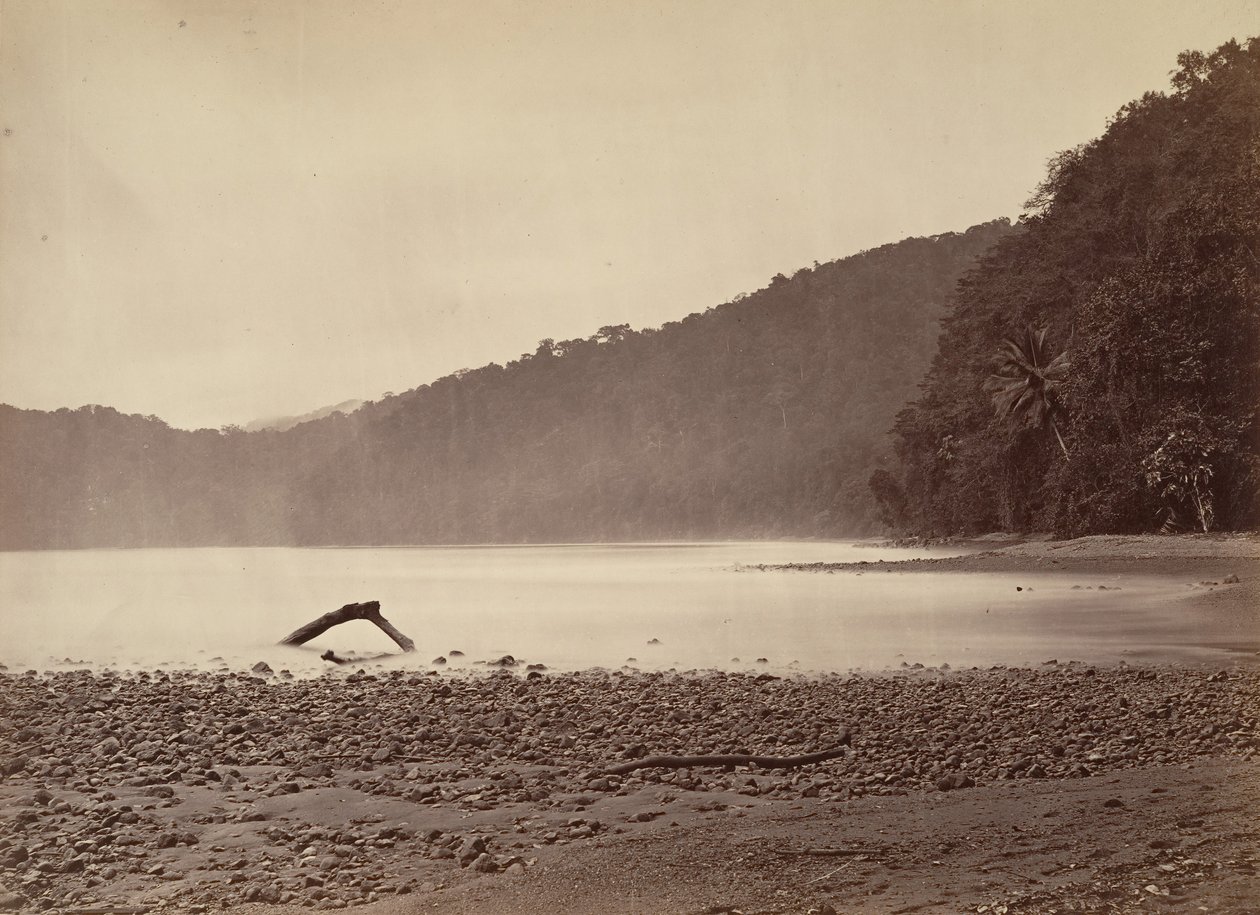 Tropikal Manzara, Önerilen Kanalın Sonu, Limon Koyu, 1871. by John Moran
