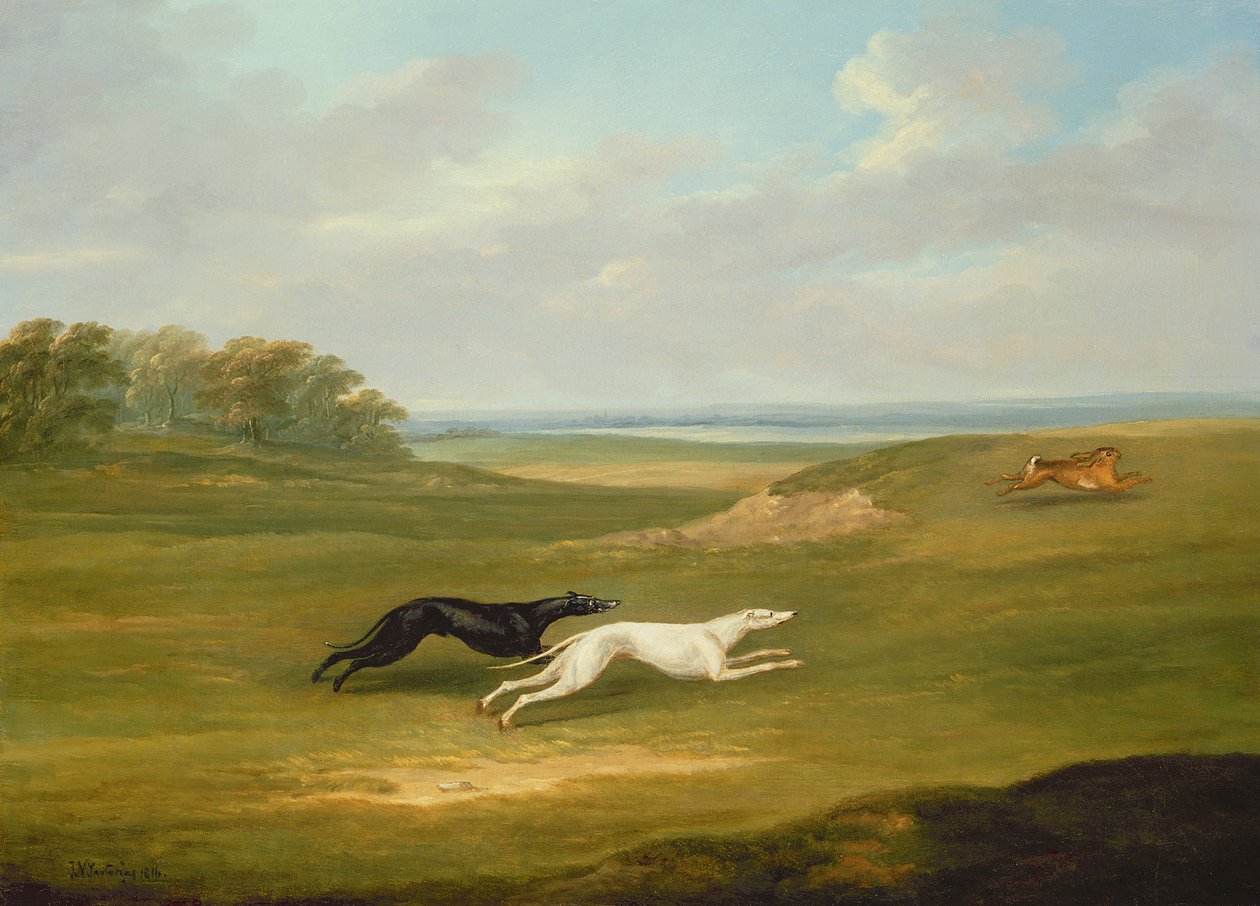 Koşma, Bir Seyir Sahnesi by John Nott Sartorius