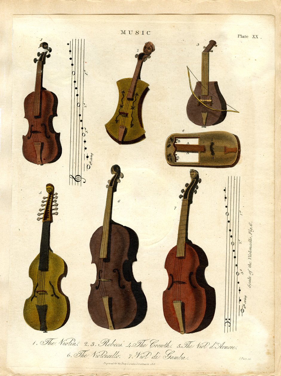 Klasik Müziğin Yaylı Çalgıları by John Pass