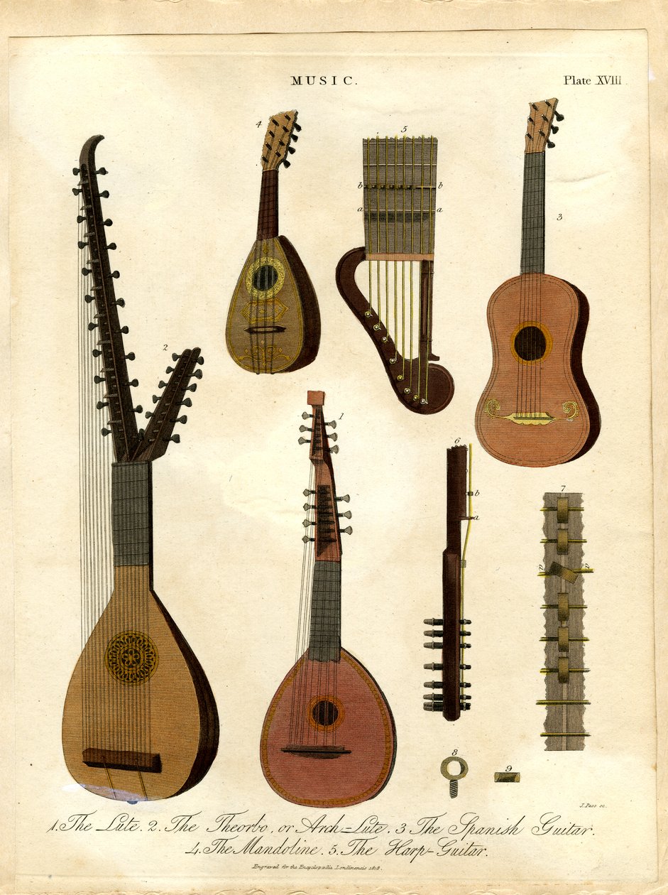 Lute; Theorbo veya Arch-Lute; İspanyol Gitarı; Mandoline; Arp-Guitar by John Pass