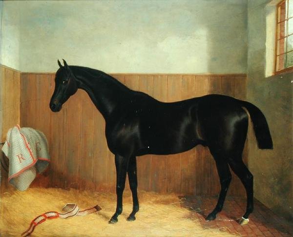 Tommy, Bir Atın Portresi, 1870