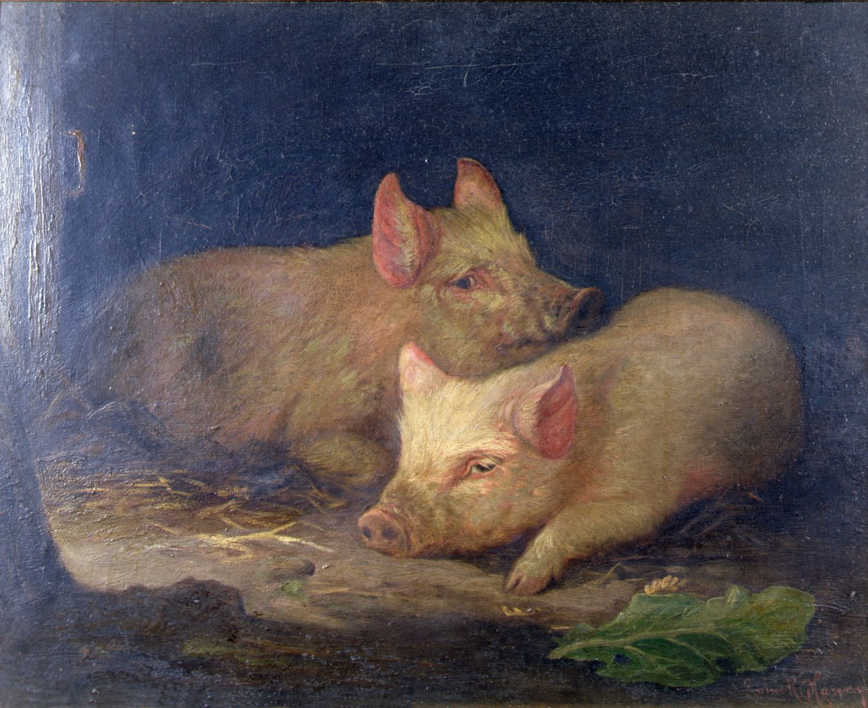Bir İç Mekanda İki Ödül Domuz by John Rabone Harvey