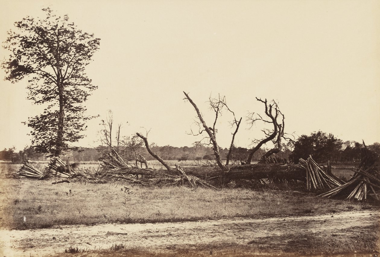Extreme Line of Confederate Works, Cold Harbor., Nisan 1865 (dokuma kağıda monte edilmiş albüm baskısı) by John Reekie