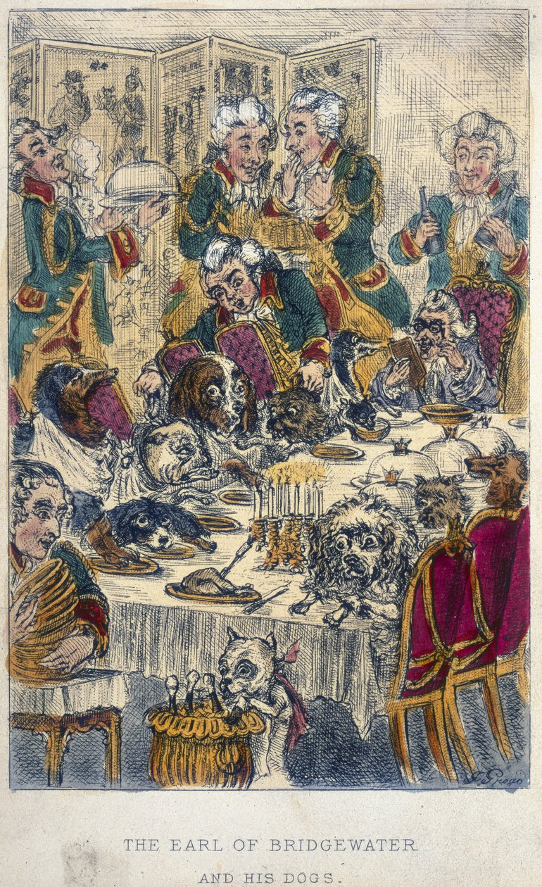 Bridgewater Kontu (renkli gravür) by John Richard Green