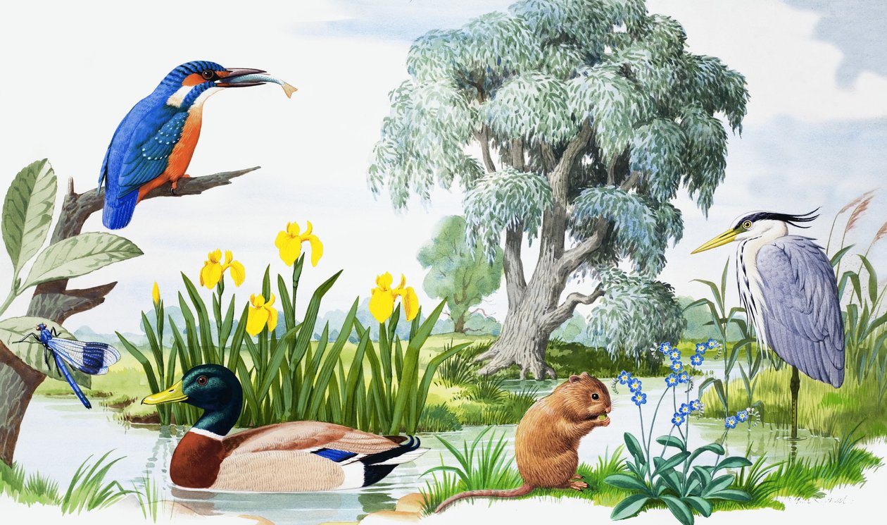  by John Rignall