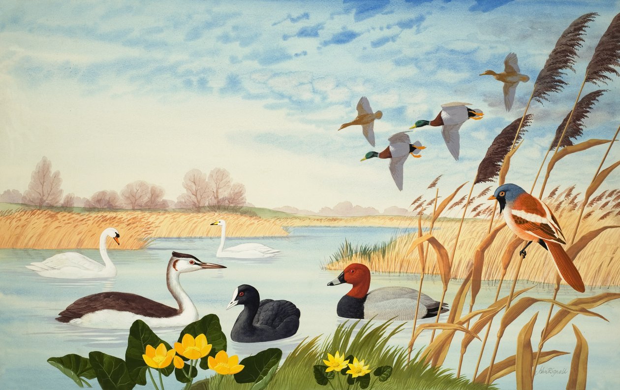  by John Rignall