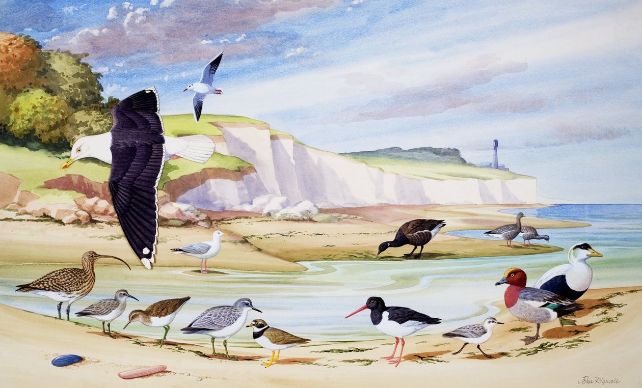  by John Rignall