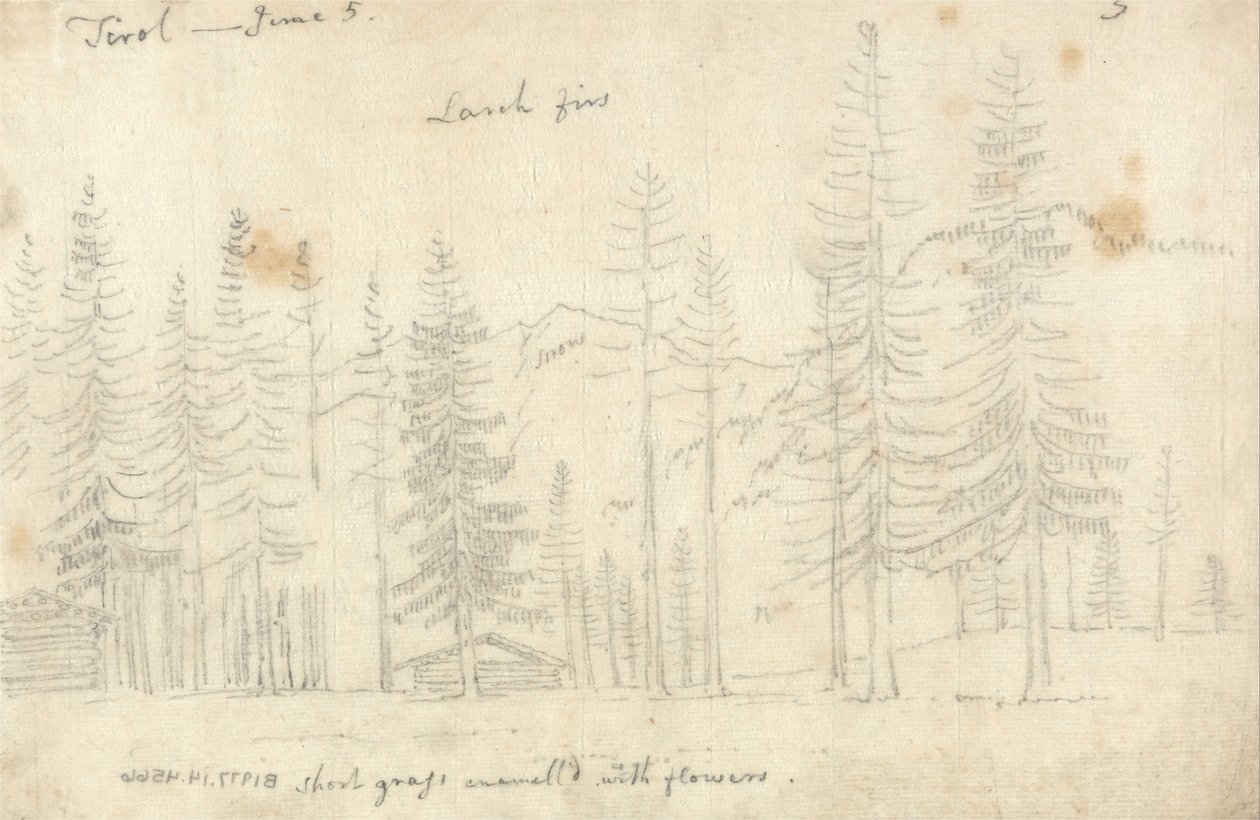  by John Robert Cozens
