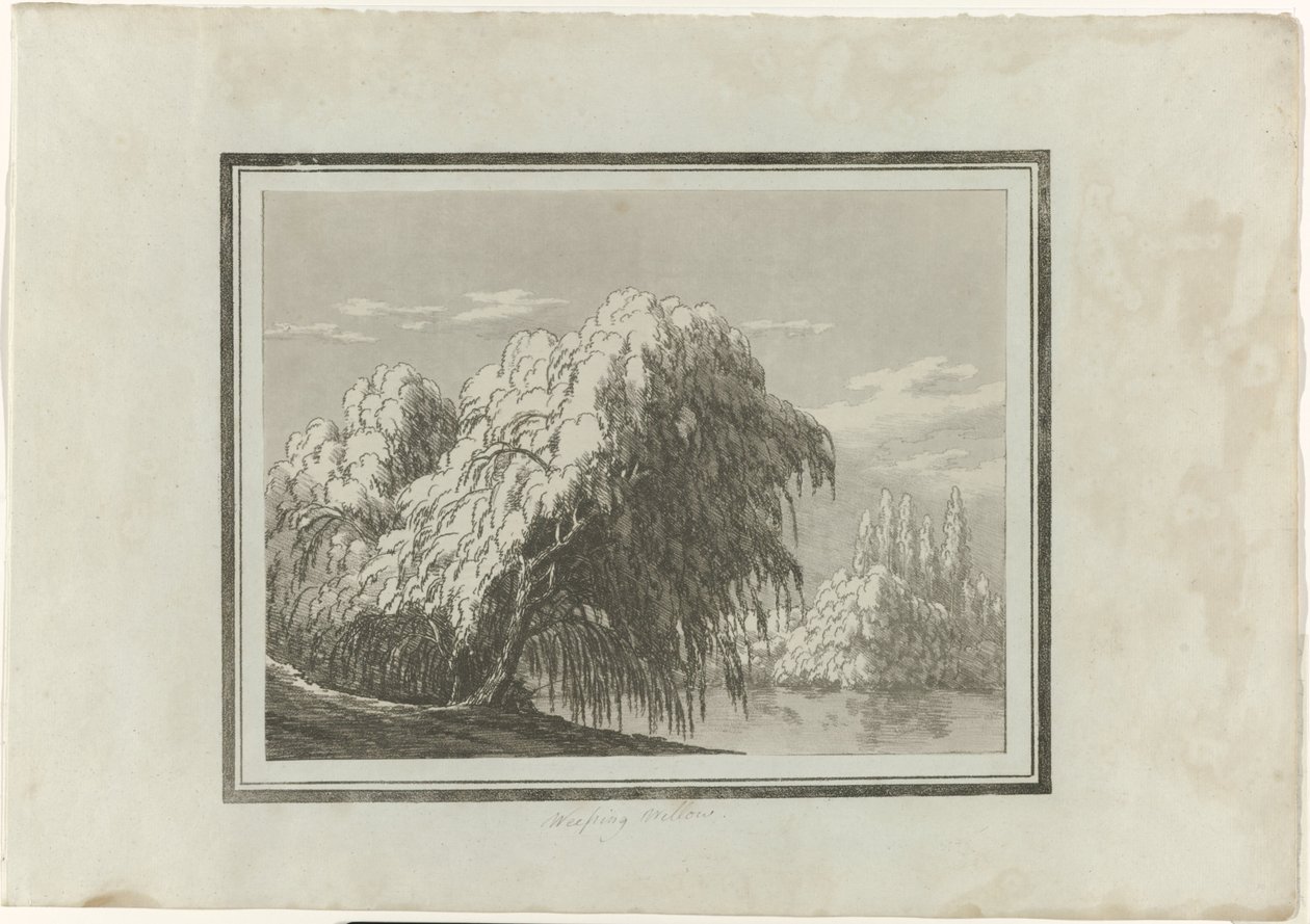 Salkım Söğüt by John Robert Cozens