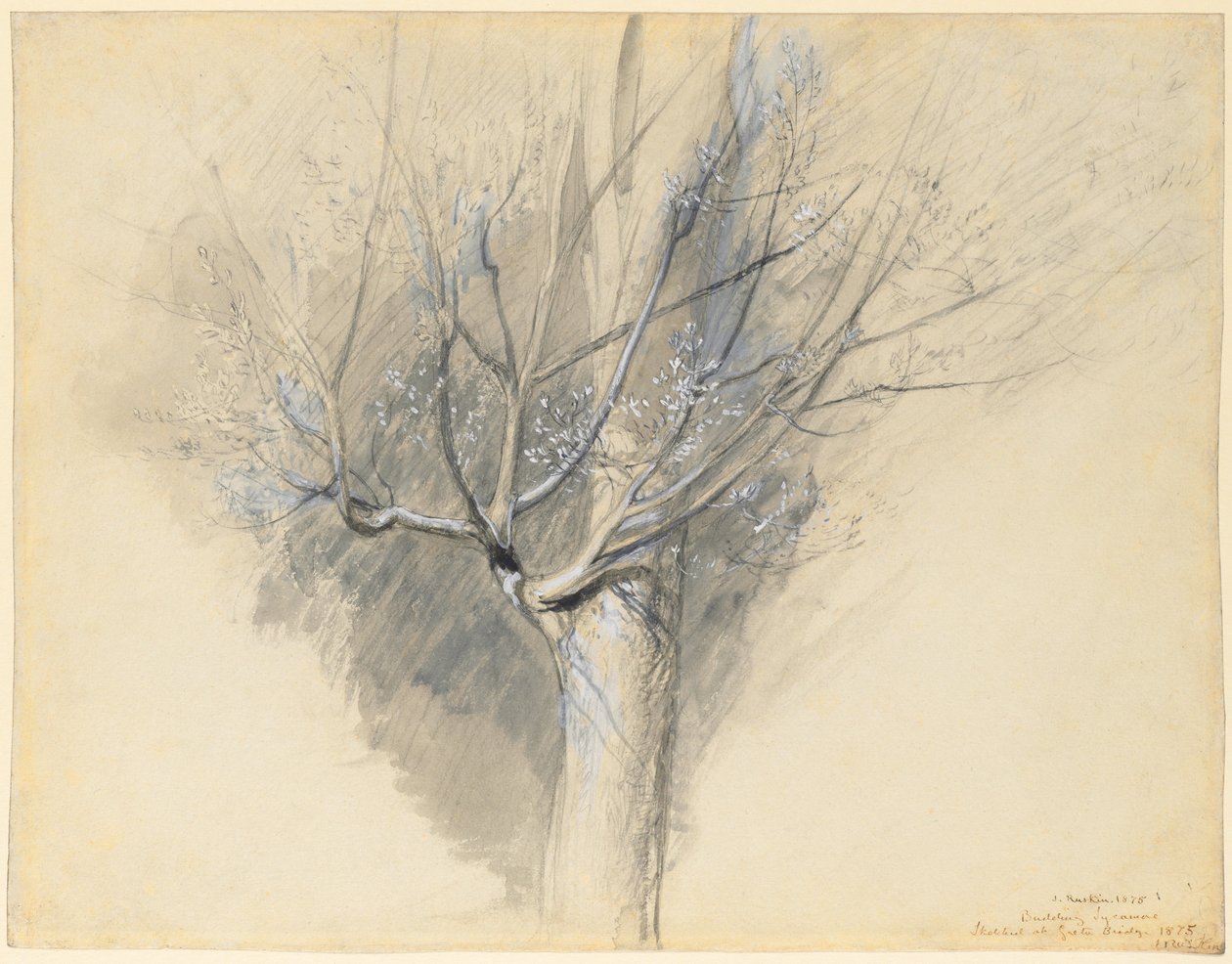  by John Ruskin