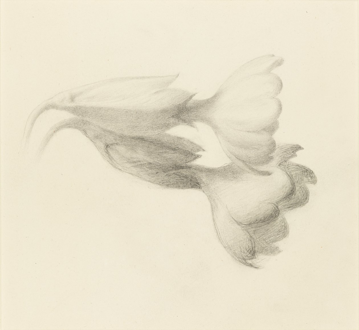Cowslip Bells, muhtemelen 1871. by John Ruskin