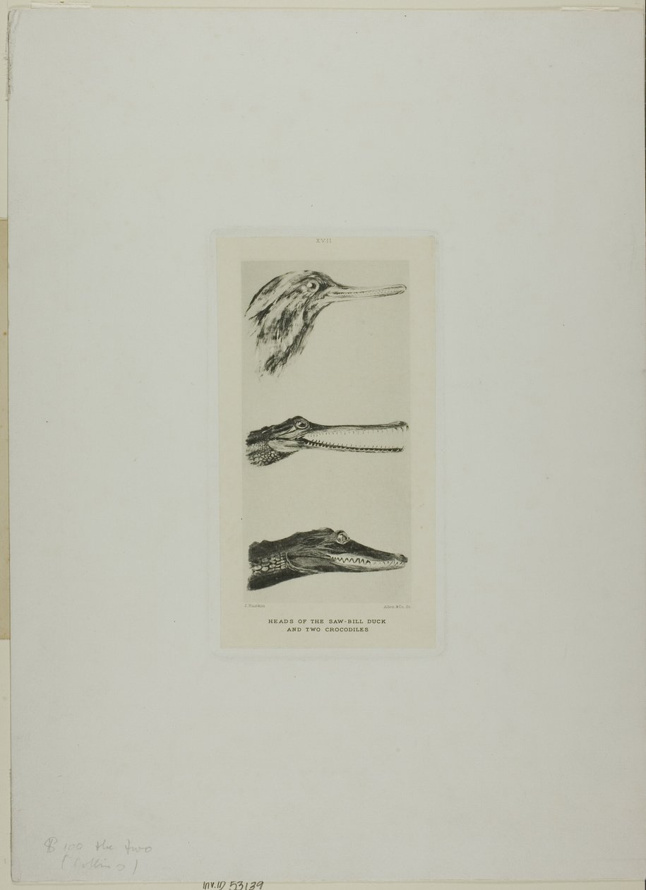  by John Ruskin