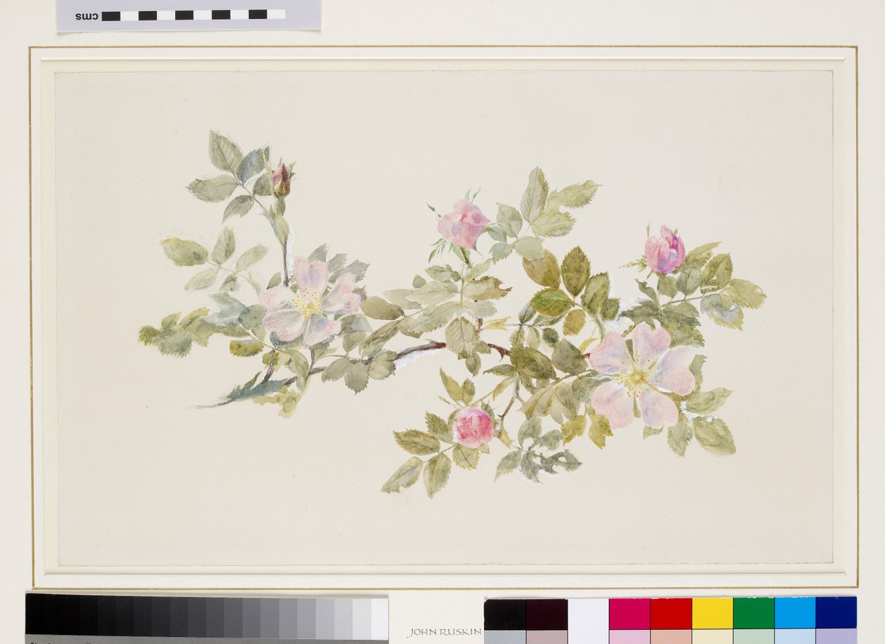 by John Ruskin