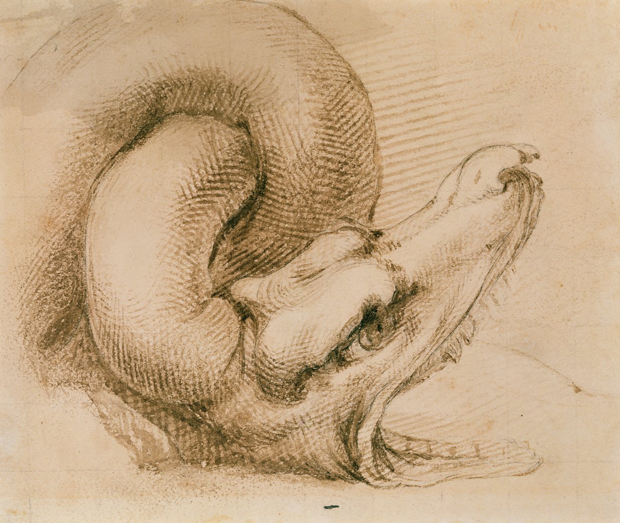 Michelangelo