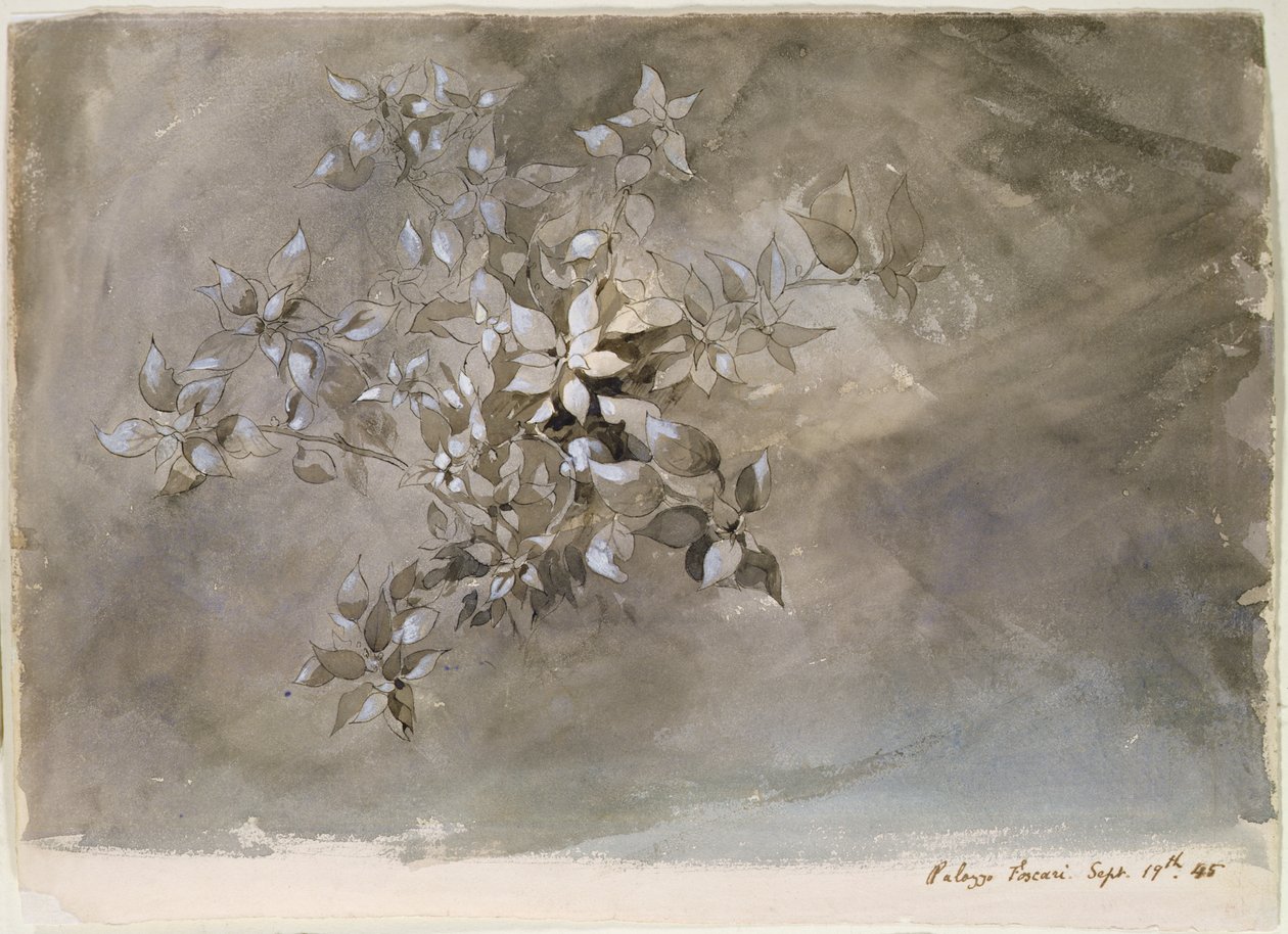 Yeşillik çalışması by John Ruskin