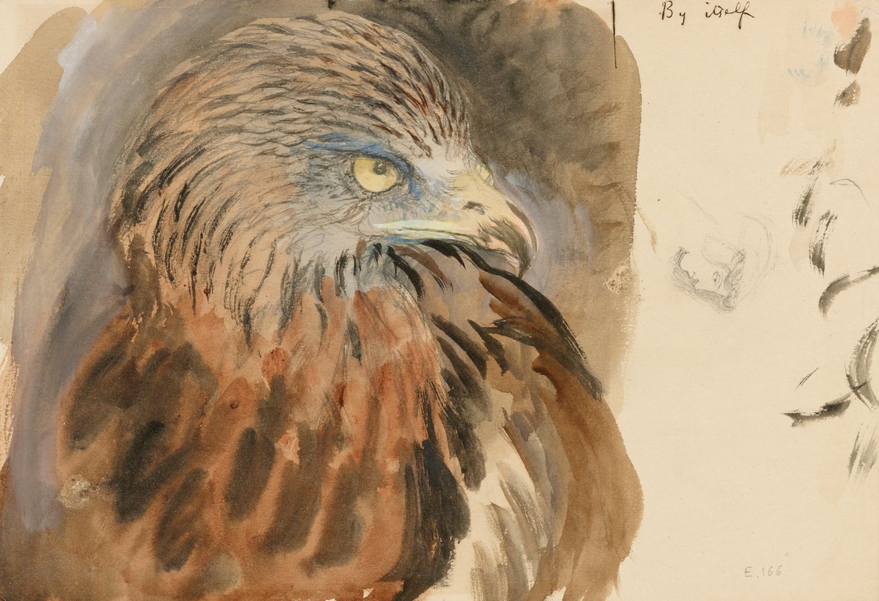 The Head of a Kite, Life