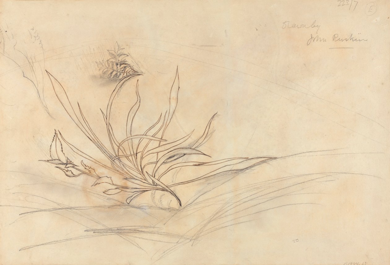 Bir Nehrin Kayalık Bankası by John Ruskin